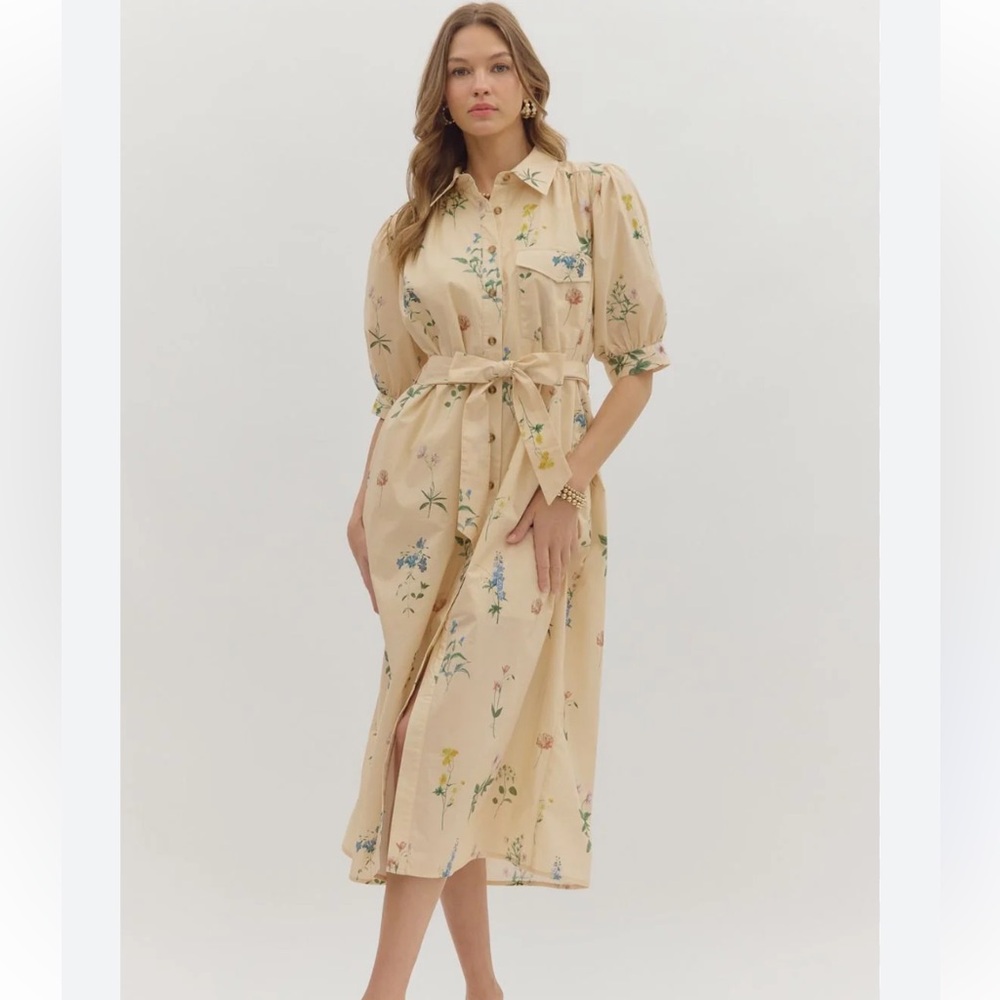 Entro sweet garden party floral button belted midi dress small